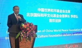 和平基金最新爆料新闻,揭秘重大国际和平项目进展